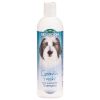 Bio Groom Groom N Fresh Shampoo - 12 oz